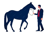 Equi-coaching pour les entreprises